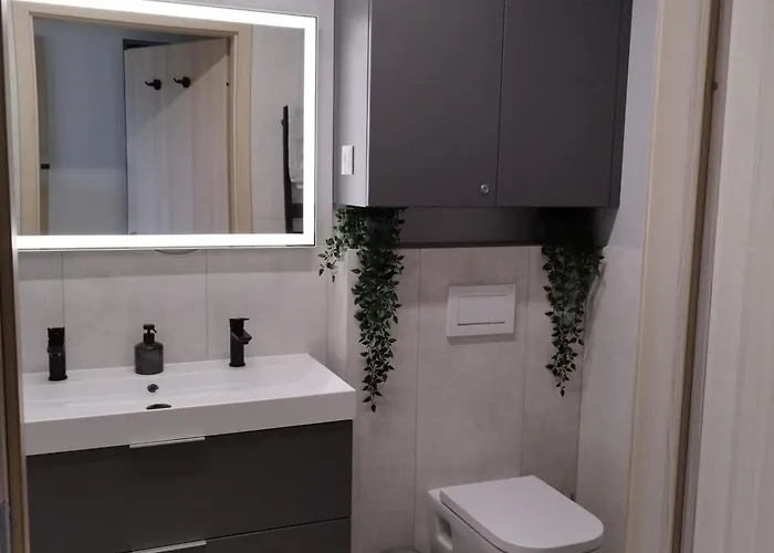 Daire Silver Harmony