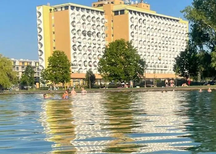 Daire Silver Harmony